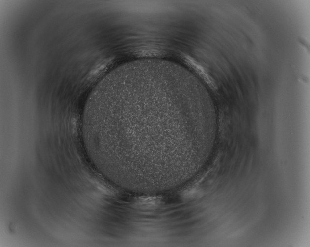 X0000090990161200708241434