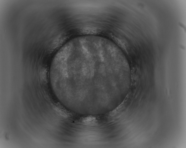 X0000090990162200708241434