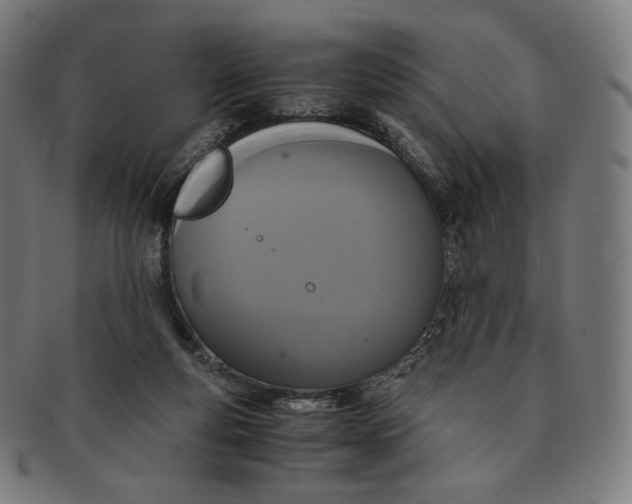 X0000090990163200708241434