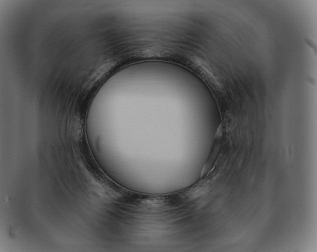 X0000090990164200708241434