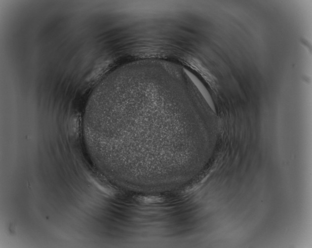 X0000090990165200708241434