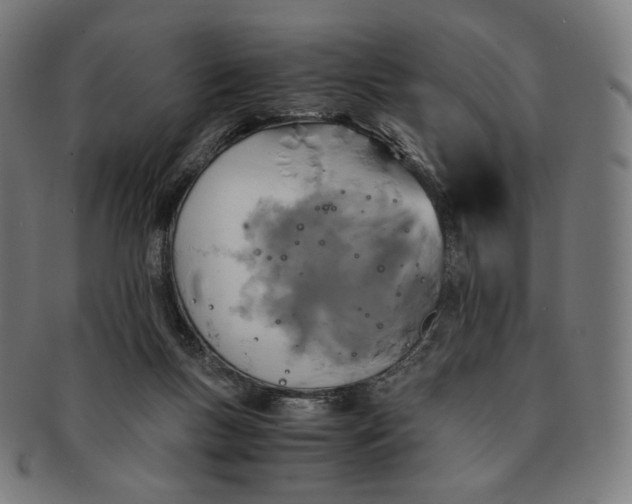 X0000090990167200708241434