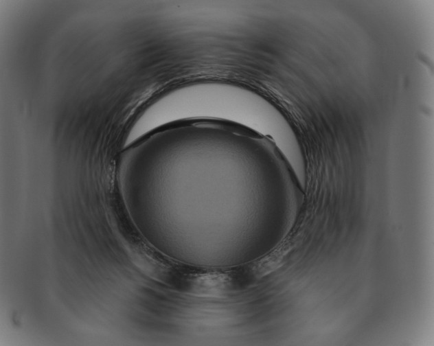 X0000090990168200708241434