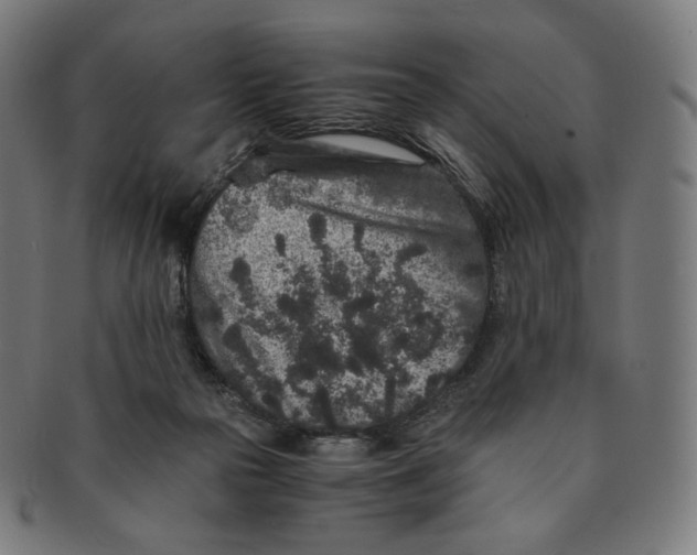 X0000090990169200708241434