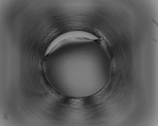 X0000090990170200708241434