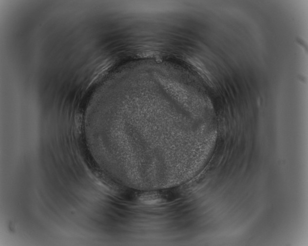 X0000090990171200708241434