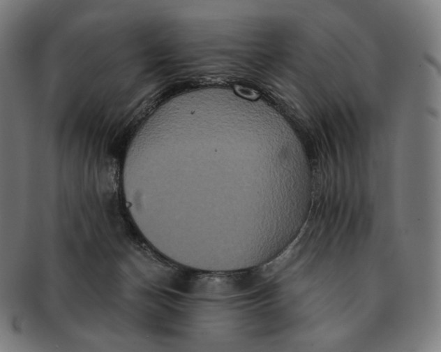 X0000090990174200708241434