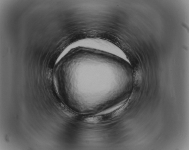 X0000090990178200708241434