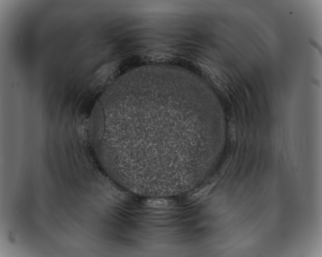 X0000090990181200708241434