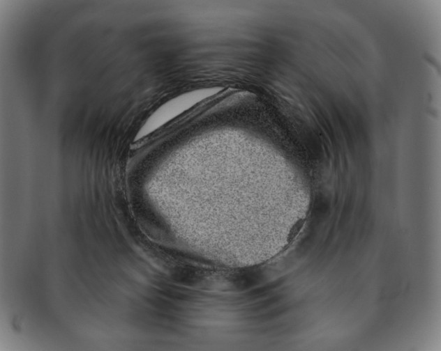 X0000090990182200708241434