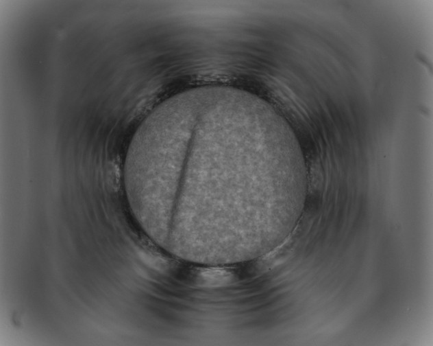 X0000090990183200708241434