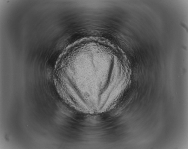 X0000090990185200708241434