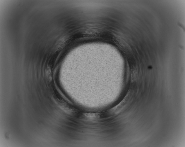 X0000090990187200708241434