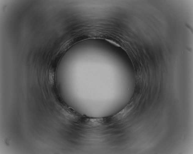 X0000090990188200708241434