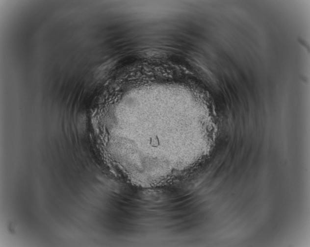 X0000090990189200708241434