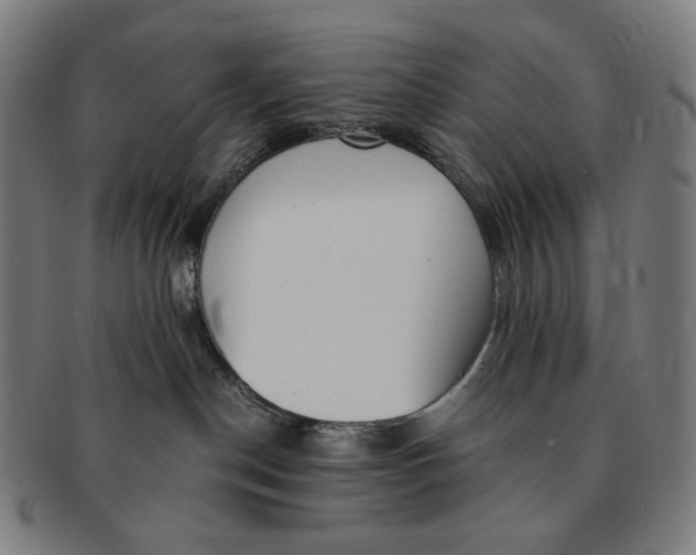 X0000090990190200708241434