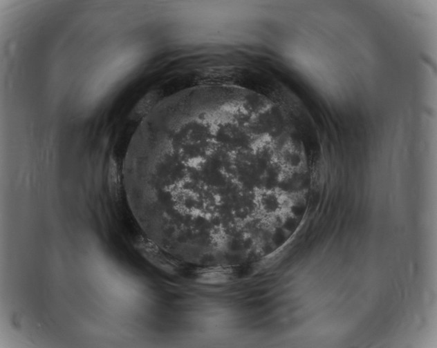 X0000090990191200708241434