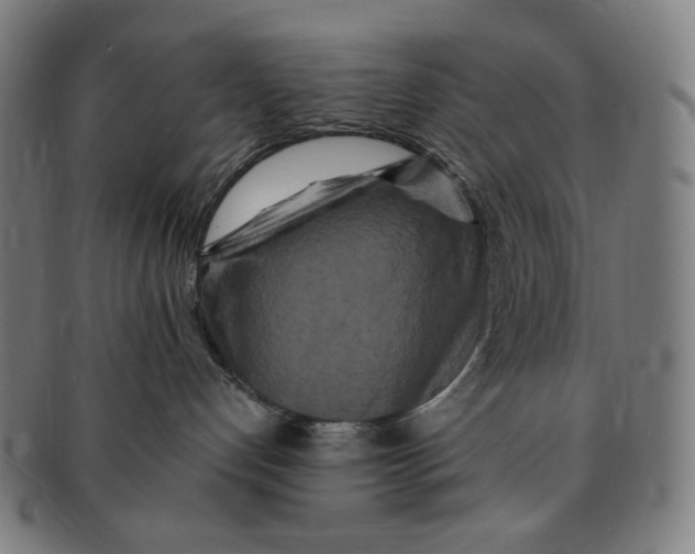 X0000090990192200708241435