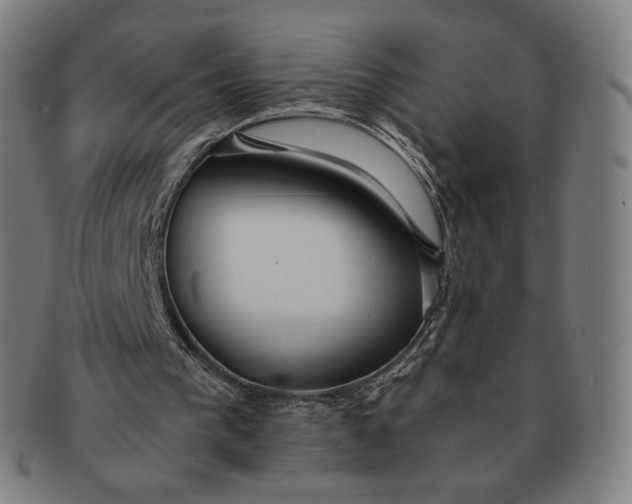 X0000090990193200708241434