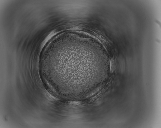 X0000090990195200708241434