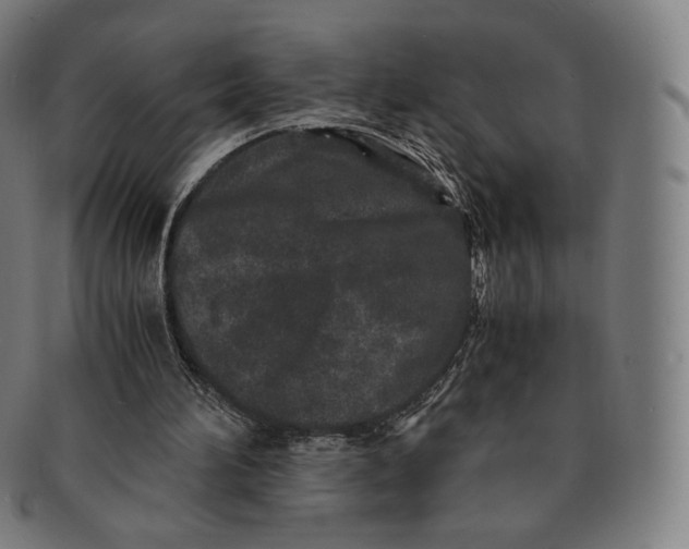 X0000090990196200708241434