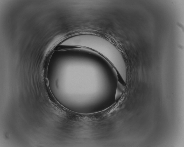 X0000090990197200708241434