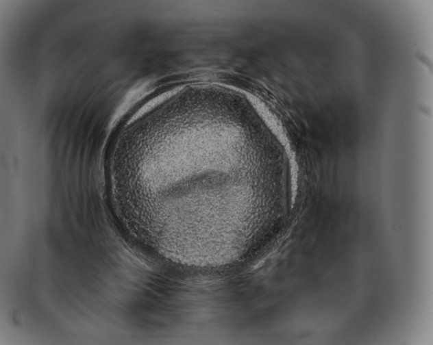 X0000090990198200708241434