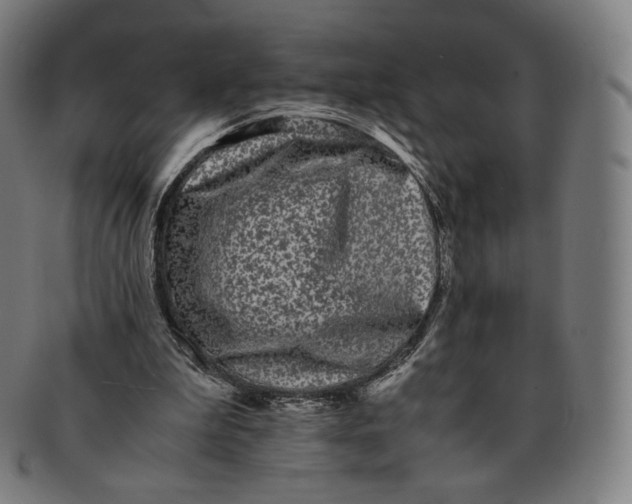 X0000090990199200708241434