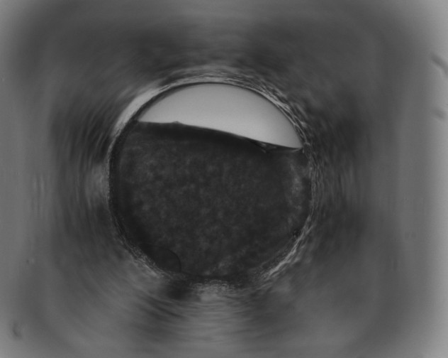 X0000090990200200708241434