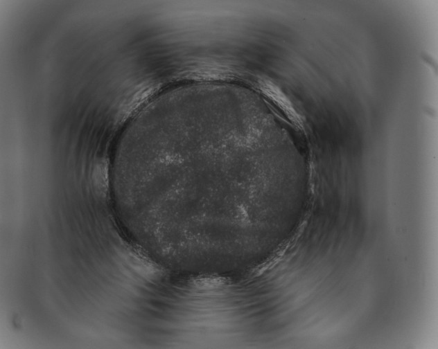 X0000090990202200708241434