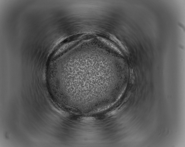 X0000090990203200708241434