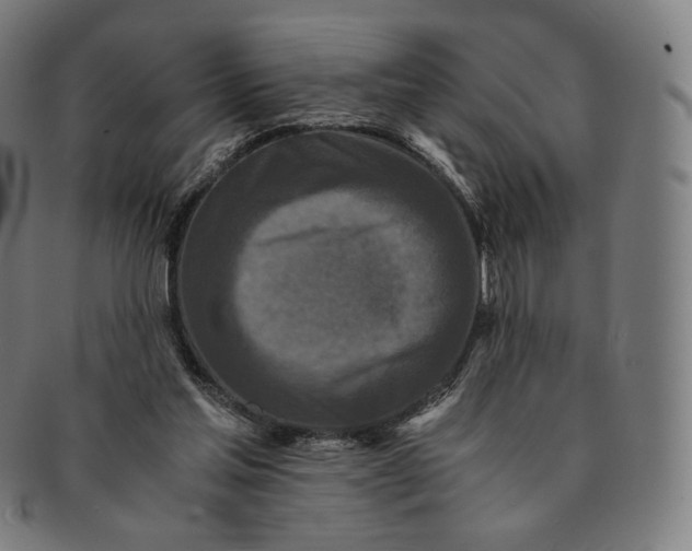 X0000090990205200708241434