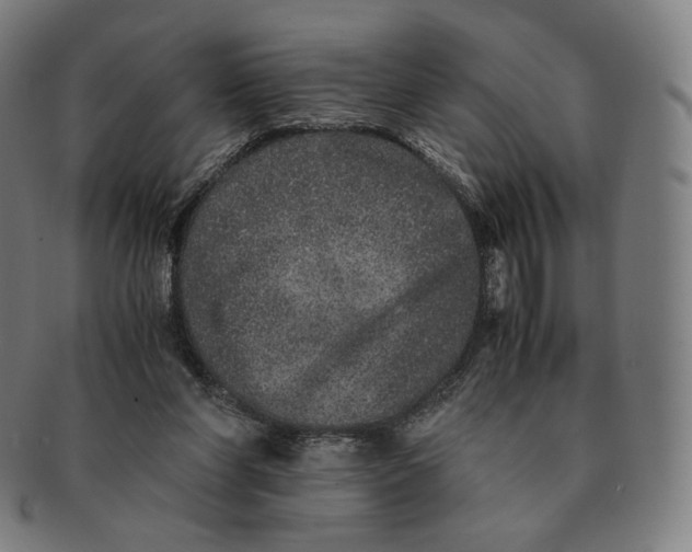 X0000090990206200708241433