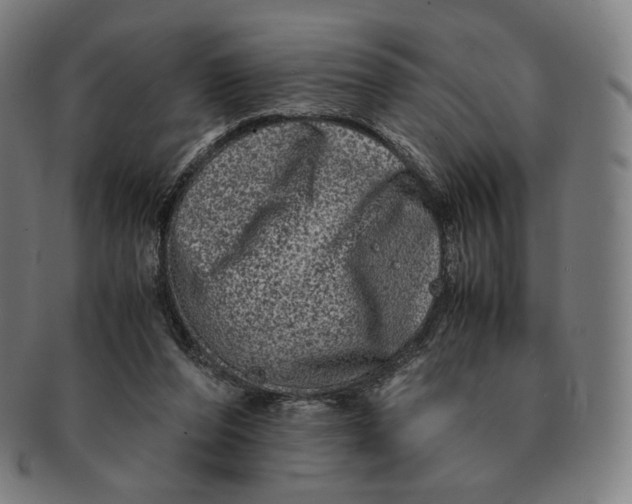 X0000090990208200708241433