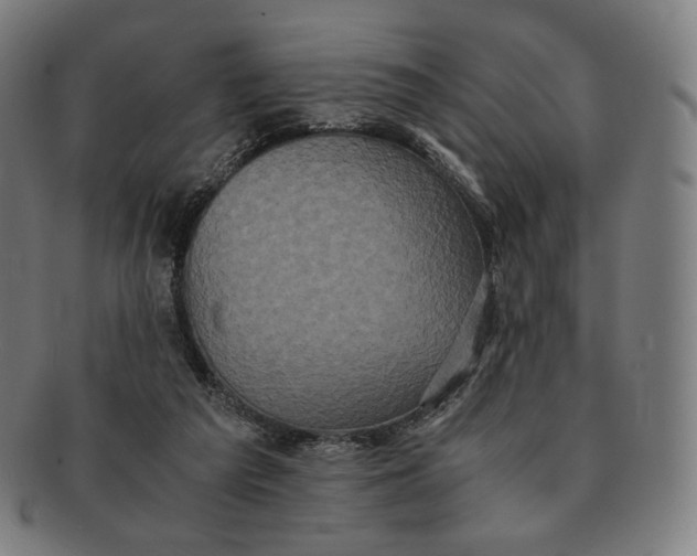 X0000090990209200708241433