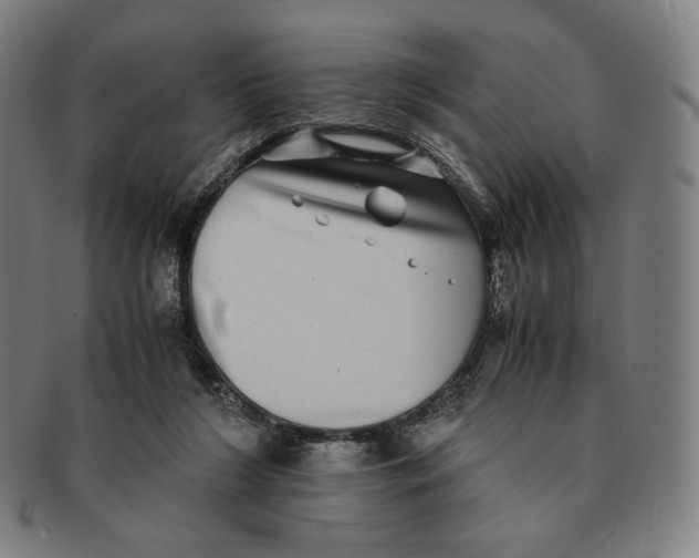 X0000090990212200708241433