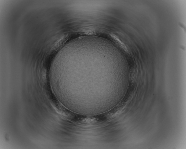 X0000090990213200708241433