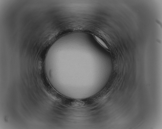 X0000090990215200708241433