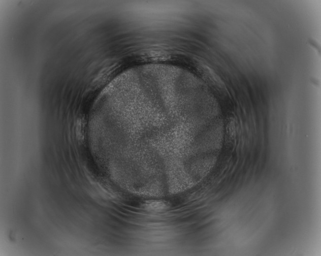 X0000090990218200708241433