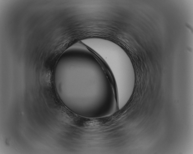 X0000090990219200708241433