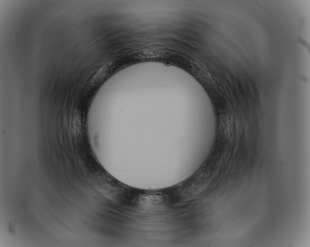 X0000090990220200708241433