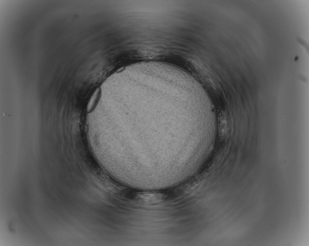 X0000090990221200708241433