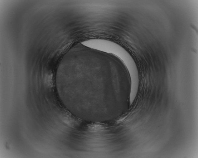 X0000090990224200708241433