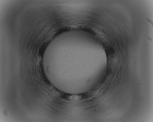 X0000090990225200708241433