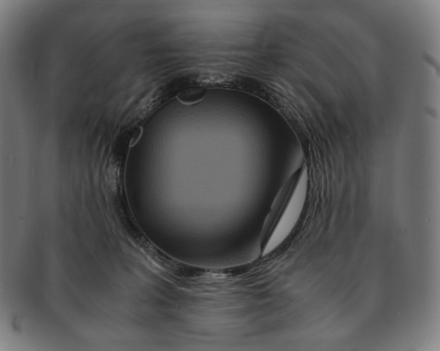 X0000090990227200708241433