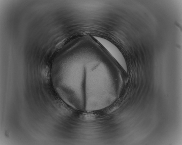 X0000090990228200708241433