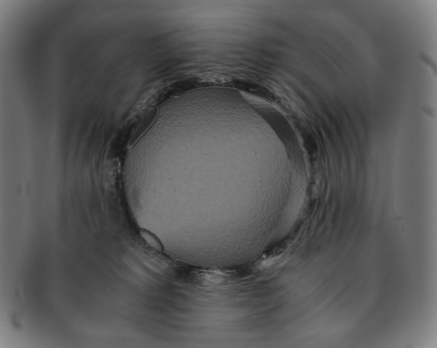 X0000090990229200708241433