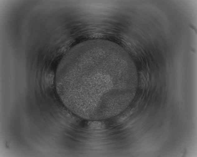 X0000090990230200708241433