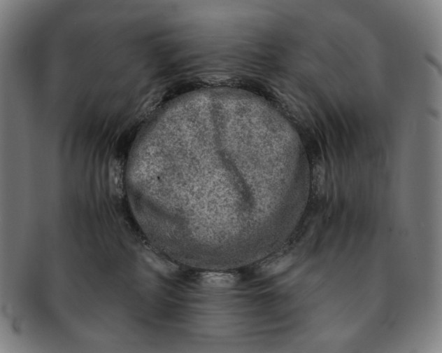 X0000090990234200708241433