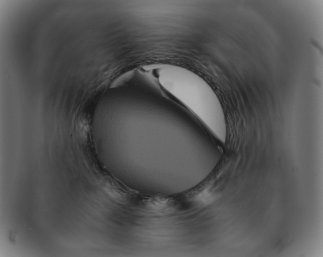 X0000090990235200708241433